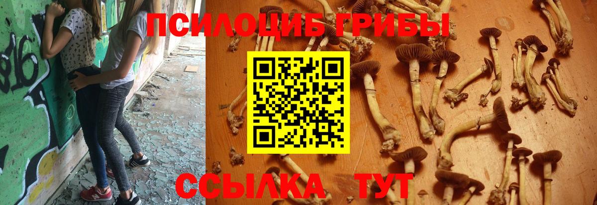 Псилоцибиновые грибы GOLDEN TEACHER  Вход с VPN  Костомукша 
