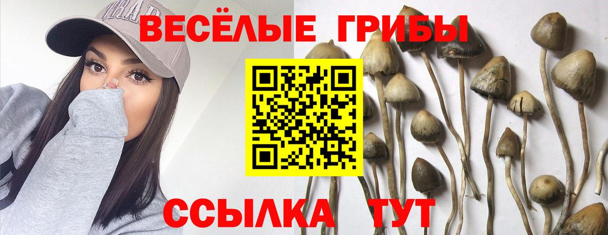 Псилоцибиновые грибы мицелий Костомукша